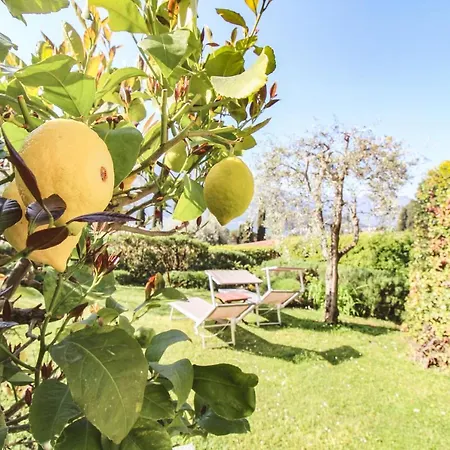Villa Del Grillo Parlante *