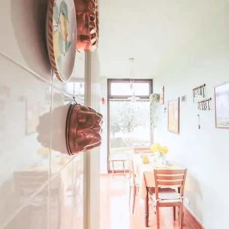 Villa Del Grillo Parlante *